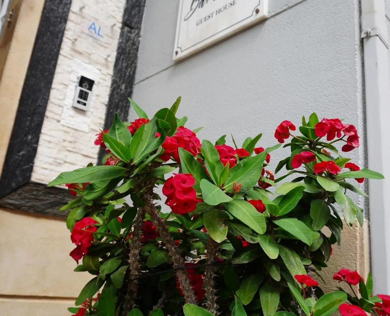 Gasthof Hotel AL Barbinha Distrikt Distrikt Faro